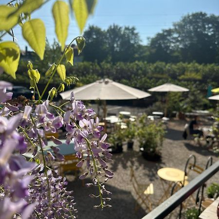 Ferienwohnungen Im Hof68 ミュンスター エクステリア 写真